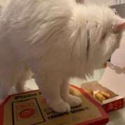 ヒメ日記 2025/12/27 15:03 投稿 如月　愛華 タッチVIP