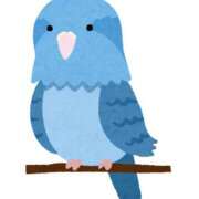 ヒメ日記 2025/12/28 15:19 投稿 如月　愛華 タッチVIP