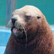 ヒメ日記 2026/01/29 14:48 投稿 如月　愛華 タッチVIP