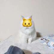 如月　愛華 こんにちは タッチVIP