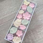 如月　愛華 こんにちは タッチVIP