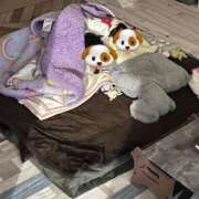 ヒメ日記 2026/02/21 15:12 投稿 如月　愛華 タッチVIP