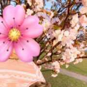 ヒメ日記 2026/03/07 14:49 投稿 如月　愛華 タッチVIP