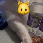 ヒメ日記 2026/04/18 16:03 投稿 如月　愛華 タッチVIP