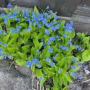ヒメ日記 2026/05/23 14:48 投稿 如月　愛華 タッチVIP