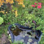 ヒメ日記 2026/05/30 14:51 投稿 如月　愛華 タッチVIP