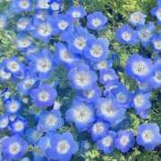 ヒメ日記 2025/04/29 01:34 投稿 のんの もしも清楚な20、30代の妻とキスイキできたら横浜店