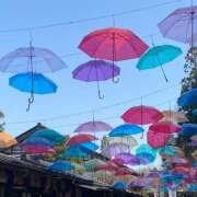 ヒメ日記 2025/04/28 19:46 投稿 今井一乃 五十路マダム富山店(カサブランカグループ)