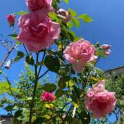 ヒメ日記 2025/05/06 15:32 投稿 今井一乃 五十路マダム富山店(カサブランカグループ)