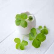 ヒメ日記 2025/07/17 14:12 投稿 今井一乃 五十路マダム富山店(カサブランカグループ)