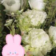 ヒメ日記 2026/01/08 16:52 投稿 今井一乃 五十路マダム富山店(カサブランカグループ)