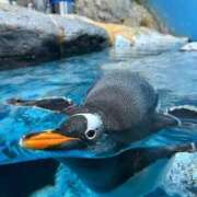 ヒメ日記 2025/08/20 13:39 投稿 りいな sweet kiss