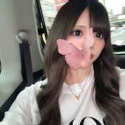 ラン 最終日！ 姫路ラビット