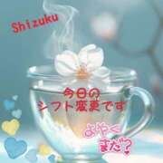 ヒメ日記 2025/01/13 13:57 投稿 柊　しずく しこたま奥様 札幌店