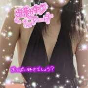 ヒメ日記 2025/02/02 17:55 投稿 柊　しずく しこたま奥様 札幌店