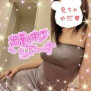 ヒメ日記 2025/02/14 19:25 投稿 柊　しずく しこたま奥様 札幌店