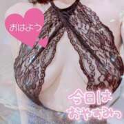 ヒメ日記 2025/03/11 06:15 投稿 柊　しずく しこたま奥様 札幌店