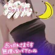 ヒメ日記 2025/03/16 23:36 投稿 柊　しずく しこたま奥様 札幌店