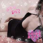 ヒメ日記 2025/03/26 21:25 投稿 柊　しずく しこたま奥様 札幌店