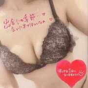 ヒメ日記 2025/04/04 10:35 投稿 柊　しずく しこたま奥様 札幌店