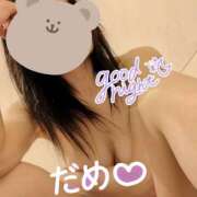 ヒメ日記 2025/04/07 00:17 投稿 柊　しずく しこたま奥様 札幌店