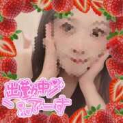 ヒメ日記 2025/04/11 19:55 投稿 柊　しずく しこたま奥様 札幌店