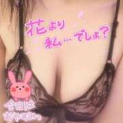 ヒメ日記 2025/04/18 13:46 投稿 柊　しずく しこたま奥様 札幌店