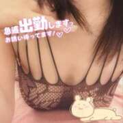 ヒメ日記 2025/04/22 13:15 投稿 柊　しずく しこたま奥様 札幌店