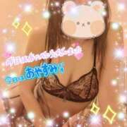 ヒメ日記 2025/04/23 13:05 投稿 柊　しずく しこたま奥様 札幌店