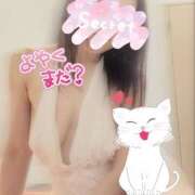 ヒメ日記 2025/06/08 11:48 投稿 柊　しずく しこたま奥様 札幌店