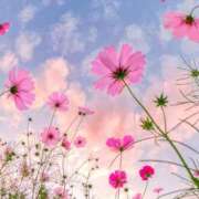 ヒメ日記 2025/09/16 12:06 投稿 柊　しずく しこたま奥様 札幌店