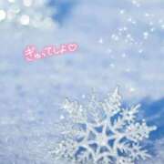 ヒメ日記 2025/11/08 14:55 投稿 柊　しずく しこたま奥様 札幌店