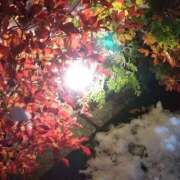 ヒメ日記 2025/11/10 00:15 投稿 柊　しずく しこたま奥様 札幌店