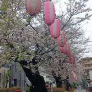 ヒメ日記 2025/04/02 17:34 投稿 NH水朝 美樹 SPICY×MILK SHAKE ニューハーフ専門×痴的美少女専門