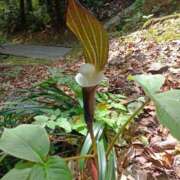 ヒメ日記 2025/04/23 10:05 投稿 NH水朝 美樹 SPICY×MILK SHAKE ニューハーフ専門×痴的美少女専門