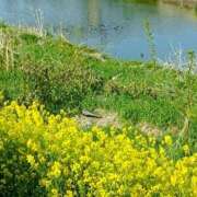 ヒメ日記 2025/04/30 14:42 投稿 NH水朝 美樹 SPICY×MILK SHAKE ニューハーフ専門×痴的美少女専門