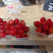 ヒメ日記 2025/05/22 12:27 投稿 NH水朝 美樹 SPICY×MILK SHAKE ニューハーフ専門×痴的美少女専門