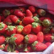 ヒメ日記 2025/11/13 08:27 投稿 NH水朝 美樹 SPICY×MILK SHAKE ニューハーフ専門×痴的美少女専門