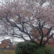 ヒメ日記 2025/12/21 17:13 投稿 NH水朝 美樹 SPICY×MILK SHAKE ニューハーフ専門×痴的美少女専門