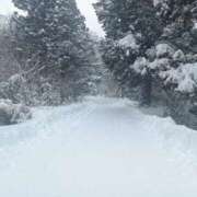 ヒメ日記 2026/02/11 11:39 投稿 NH水朝 美樹 SPICY×MILK SHAKE ニューハーフ専門×痴的美少女専門