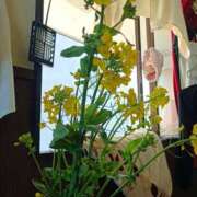 ヒメ日記 2026/03/24 08:12 投稿 NH水朝 美樹 SPICY×MILK SHAKE ニューハーフ専門×痴的美少女専門