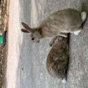 ヒメ日記 2025/02/05 12:40 投稿 石原みか 美魔女エステ