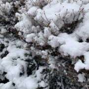 ヒメ日記 2026/02/08 23:13 投稿 石原みか 美魔女エステ