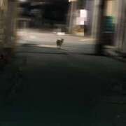 ヒメ日記 2025/06/17 23:53 投稿 石原みか 麗しいマダム