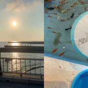 ヒメ日記 2025/09/01 00:04 投稿 石原みか 麗しいマダム