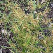 ヒメ日記 2025/10/28 00:07 投稿 石原みか 麗しいマダム