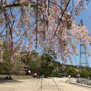 ヒメ日記 2025/04/24 12:40 投稿 石原みか 色気あるワイフ