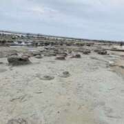 ヒメ日記 2025/06/24 21:52 投稿 石原みか 色気あるワイフ