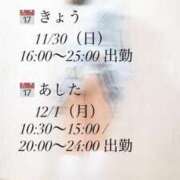 ヒメ日記 2025/11/30 08:19 投稿 アイリ ツートップ