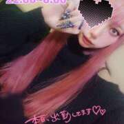 ヒメ日記 2025/02/17 00:03 投稿 にあ ウルトラグレイス24